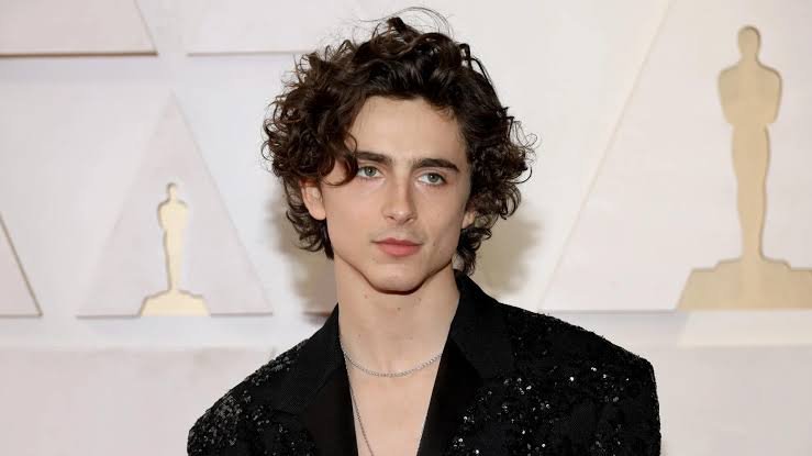 Timothée Chalamet: Age, Girlfriend, Movies, Net Worth, Family
